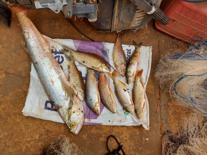 Pescadores são autuados por crime ambiental de pesca predatória MS