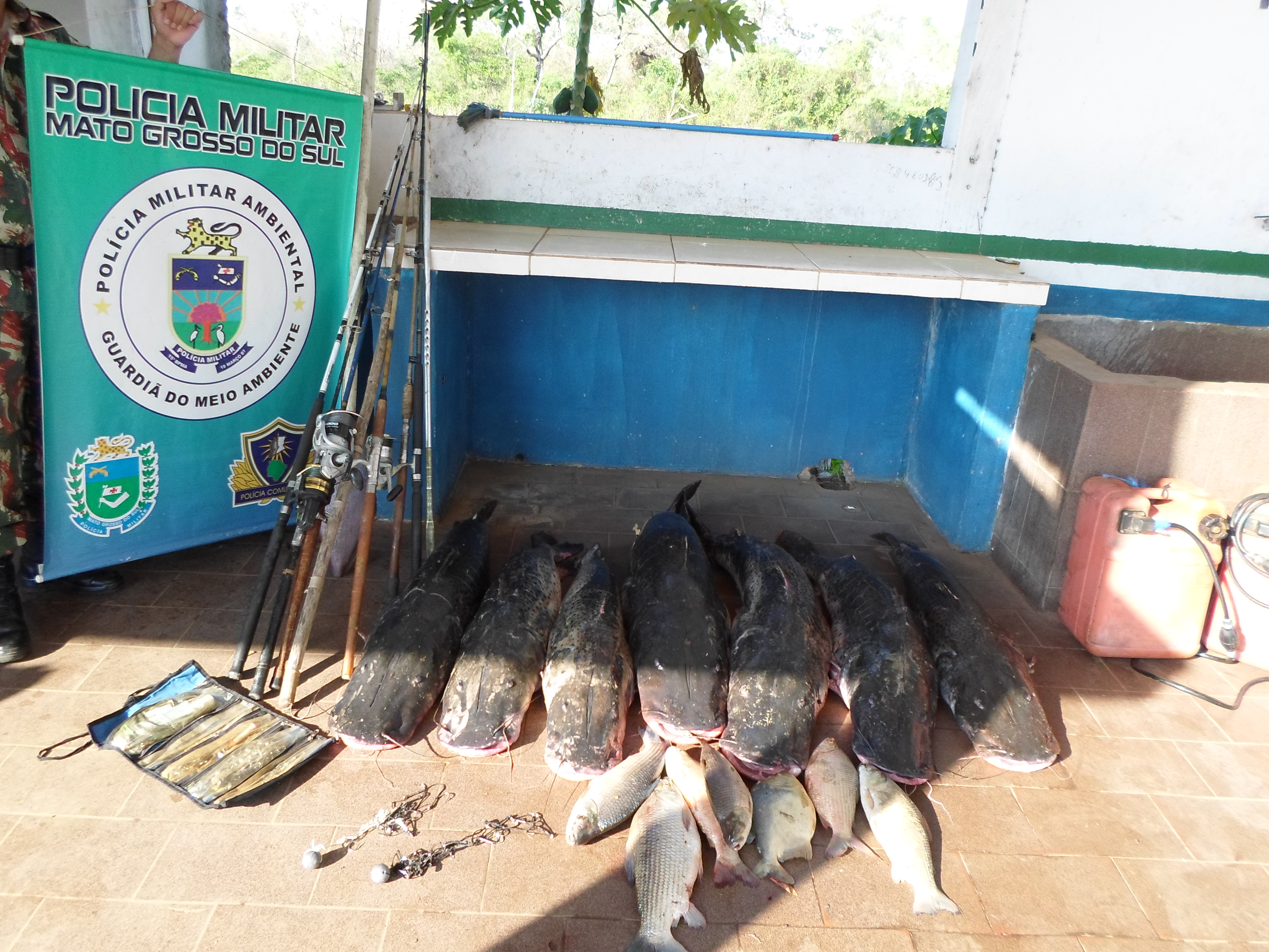 Dois Pescadores Profissionais E Dois Amados Foram Apreendidos Pela Pma