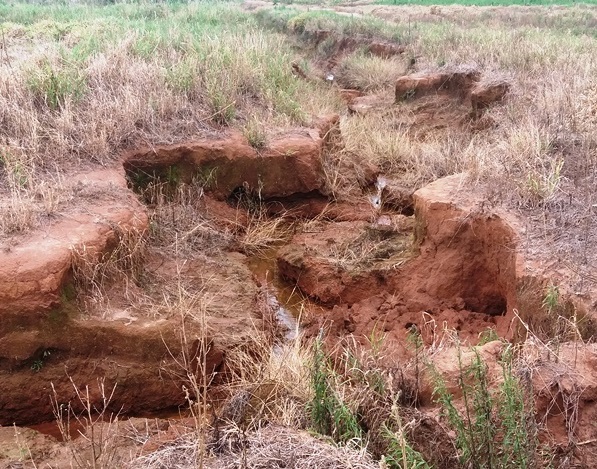 PMA autua pecuarista em R 10 mil devido a degradação por voçorocas em