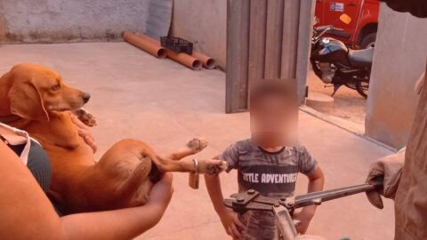 Criança tranca cadeado 'sem chaves' a pata do cachorro da família