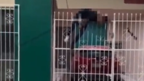 Vídeo: jovem é espetado por grade de portão ao tentar furtar casa (imagens fortes)