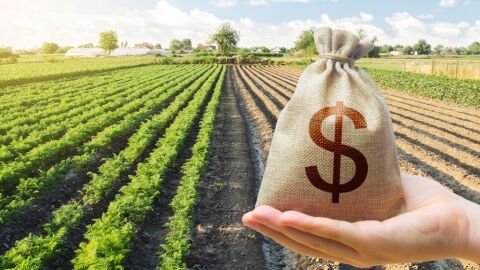 Aprosoja: produtores de soja têm "créditos" de carbono e não "débitos"