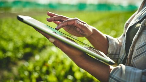 Conectividade no campo: 5G promete revolucionar o agronegócio