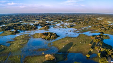 Comissão no Senado aprova a criação do Estatuto do Pantanal