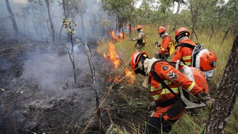 Chuva ajuda no combate aos incêndios no Pantanal, mas focos persistem