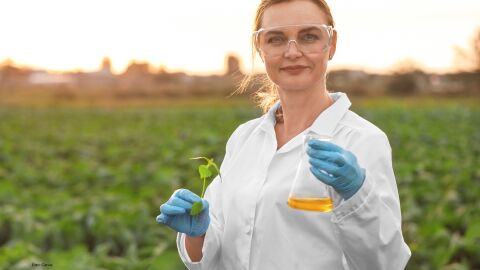 Campo Grande sedia o IV Encontro Nacional das Mulheres no Agronegócio