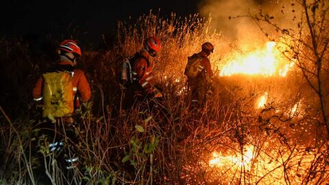 Procedimento visa garantir proteção às famílias ribeiras afetadas pelos incêndios no Pantanal