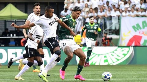 Botafogo e Palmeiras podem repetir duelo pelo título do Brasileirão