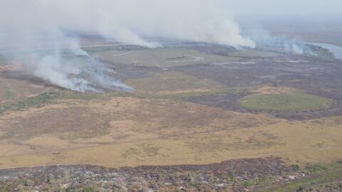 PF mira grileiros que queimaram Pantanal para exploração da pecuária