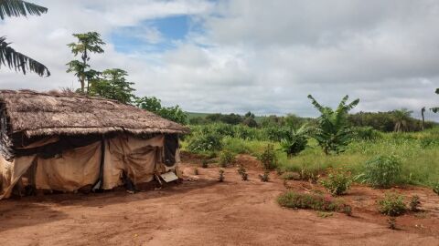 Grupo é condenado por envenenar indígenas com chuva de agrotóxico