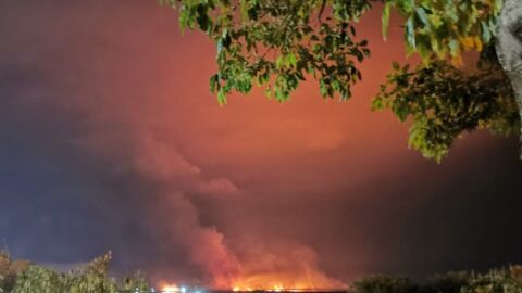 Grilagem usava queimadas para invadir terras e criar gado no Pantanal