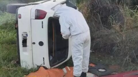 Carro capota sobre colmeia, mata passageiro e abelhas atacam testemunhas