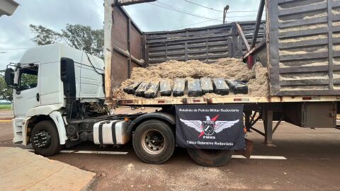 Polícia apreende R$ 5,5 milhões em maconha dentro de carga de bagaço

