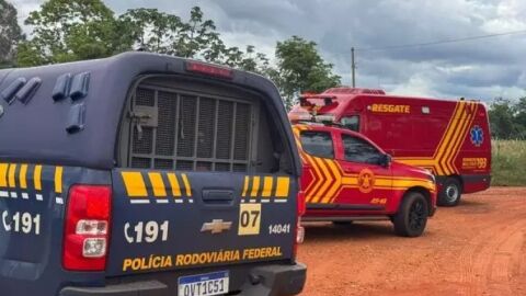 Homem morre após ataque de abelhas durante fuga da PRF em MS