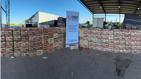 Paraguai apreende 15 toneladas de tomates e cebolas contrabandeados