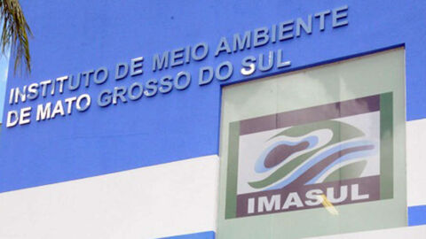 MPF investiga Imasul por falta de transparência sobre desmatamento no Pantanal