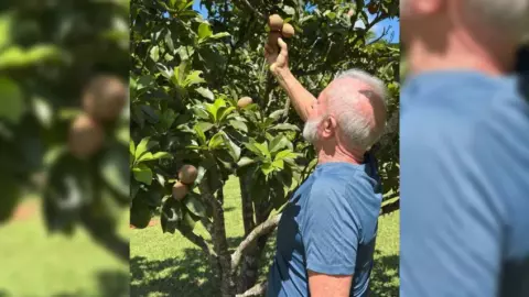 Lula e Janja visitam pomar do Palácio da Alvorada para 'tradicional conferida'