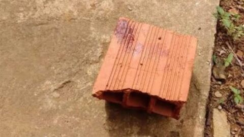 Homem quebra prato na cabeça de mulher e a agride com tijoladas em MS