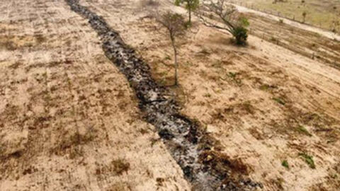 Desmatamento e queimadas no Pantanal colocam fazendas de MS na mira do MP