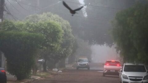 Frente fria derruba temperaturas em MS com risco de geada e ventania