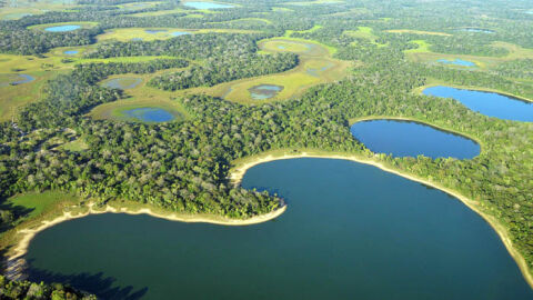 MPF alerta para riscos da hidrovia do Paraguai e cobra proteção do Pantanal