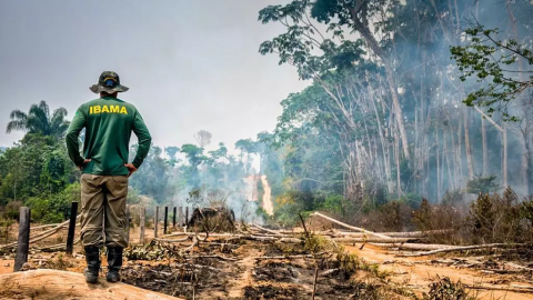 Doze deputados de MS e MT, estados do Pantanal, aprovam 'PL da Devastação'