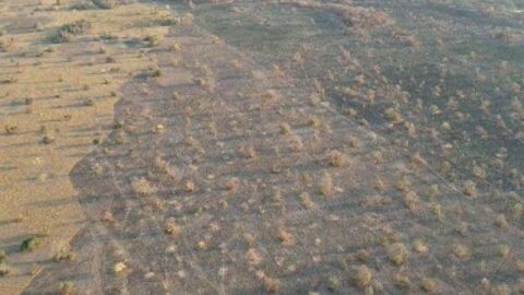 MP investiga fazendeiro por incêndio que destruiu 250 hectares no Pantanal