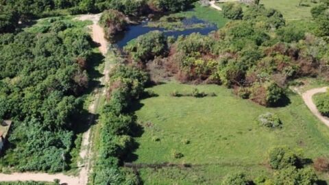 MP investiga grilagem e poluição em Parque Zoobotânico Municipal de Coxim 