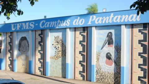 MPF abre inquérito para investigar gestão da biblioteca da UFMS no Pantanal