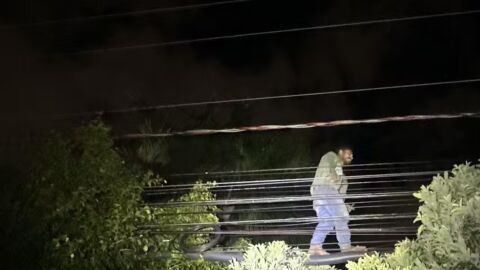 Homem é preso após subir em árvore para furtar fios em frente à praça do Rádio Clube