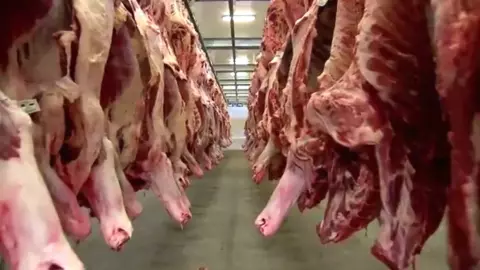 Frigoríficos de MS suspendem produção de carne para os EUA