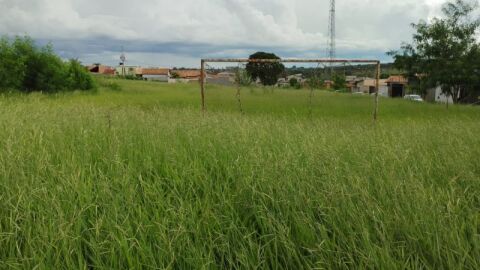 Promotoria investiga abandono e matagal em áreas públicas de Campo Grande