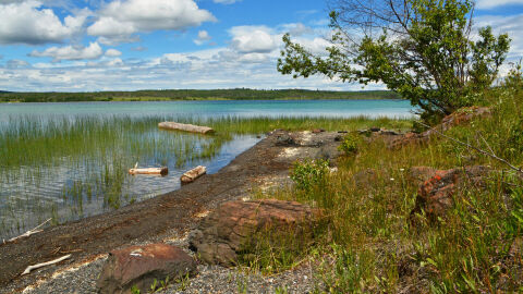 Pai de três filhos, Ryan finge que morreu afogado para fugir com amante que conheceu na internet