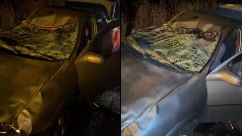 Boi invade pista, causa acidente grave e deixa dois feridos em MS