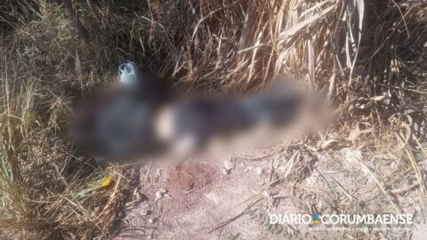 Mulher é encontrada morta em matagal sinais de facada e saco nas pernas