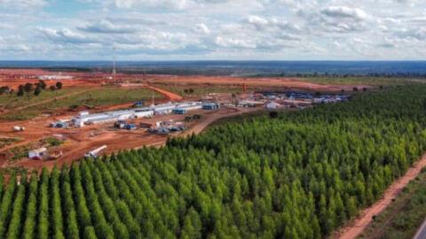 Governo de MS investe R$ 26,89 milhões em novos acessos na MS-377 para impulsionar polo industrial