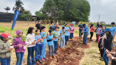 Em Campo Grande, estudantes plantam 60 mudas de árvores frutíferas 
