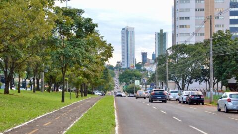 Referência em arborização, Campo Grande realiza ações educativas na Semana da Árvore