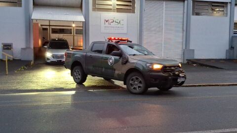 MP, PF, GAECO e PMA deflagram operações em 11 estados contra tráfico de animais