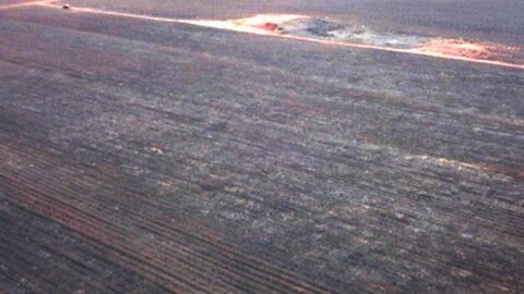 Empresa é multada em R$ 4,8 milhões por incêndio que devastou mata em MS