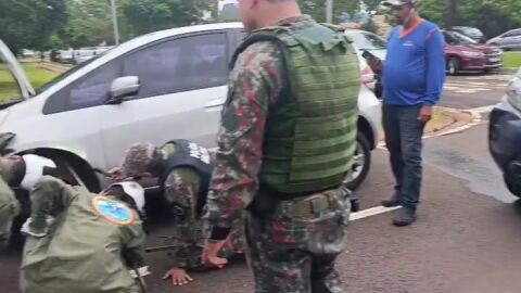 Vídeos: Gretap consegue retirar jiboia do eixo de carro na Capital