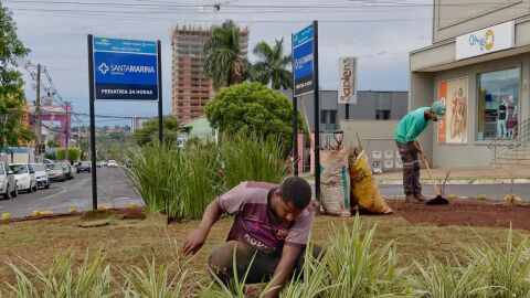 Prefeitura abre edital para adoção de áreas públicas por empresas e entidades