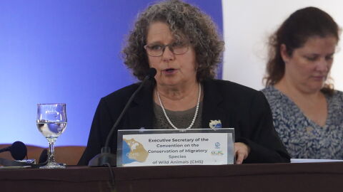 "Conectividade ecológica é essencial", diz Amy Fraenkel da ONU em MS