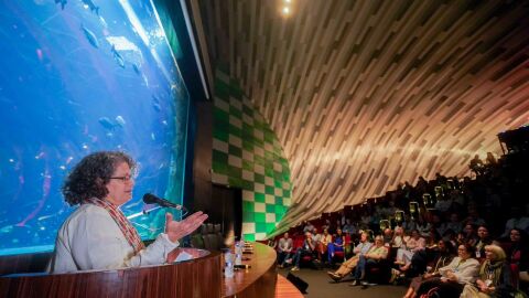 '97% dos peixes migratórios estão sob risco de extinção', conclui COP15