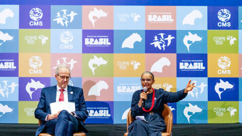 Após passar mal no calor de MS, Marina Silva apela por união contra queimadas