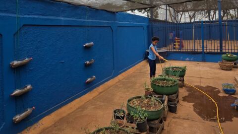 Escola pública de Campo Grande vence prêmio nacional de educação ambiental e receberá R$100 mil