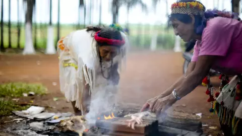 Guarani Kaiowá denunciam violência e ameaça de envenenamento após eleição