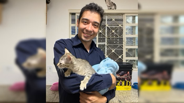 Psicólogo é preso por adotar gatos tigrados para "experimentos" cruéis