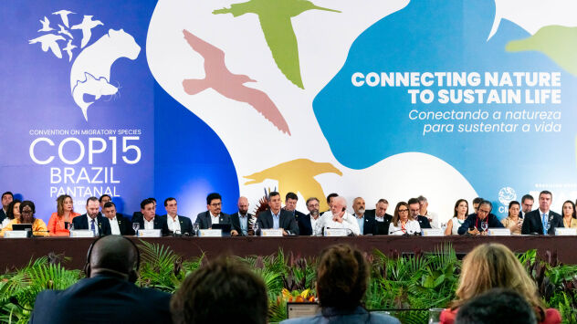 "Proteção de espécies migratórias e tema de segurança", diz chanceler da Bolívia