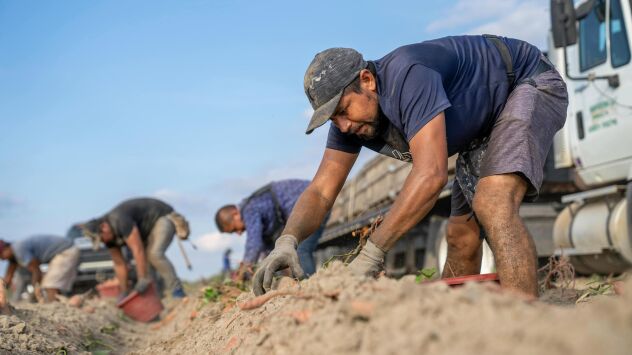 Rotina no campo aumenta risco de lesões no joelho entre trabalhadores rurais de MS